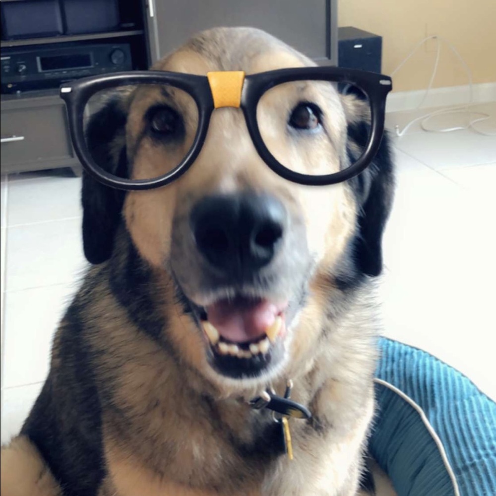 Meet your Posher, Dani